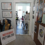Instrument Petting Zoo 1